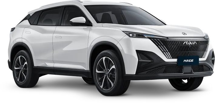 Dongfeng Mage