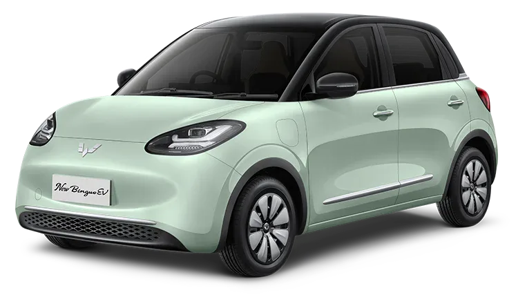 Wuling Binguo EV